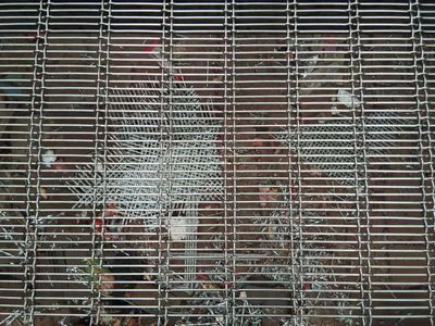 裝飾網、軋花網與特種網 建筑與工業中的金屬網藝術